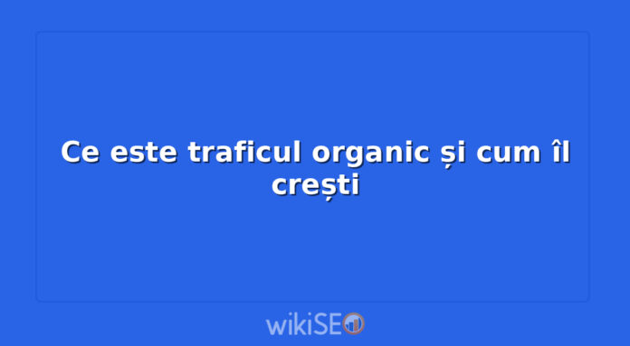 Ce este traficul organic și cum îl crești