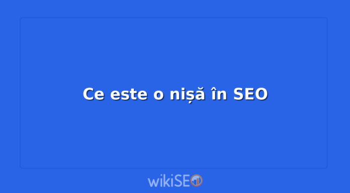 Ce este o nișă în SEO